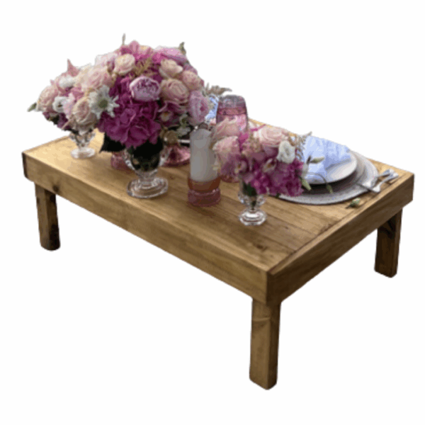 Short Picnic Table