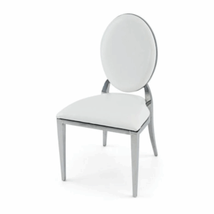 Stainless Steel Modern Dining Chair