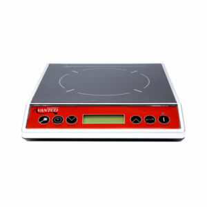 Countertop Induction Range