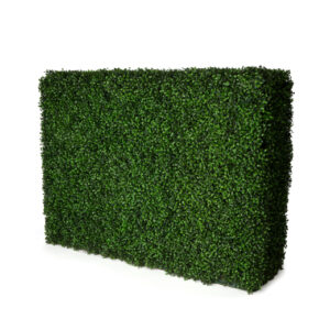Hedges