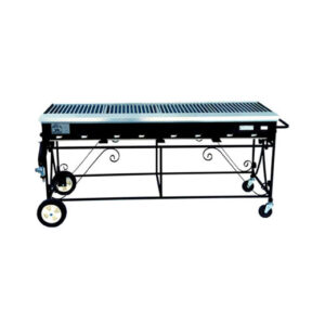 Propane Grill