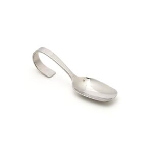 Stainless Tasting Spoon