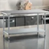 30x60 Stainless Steel Prep Table (1) Stainless Steel Prep Tables