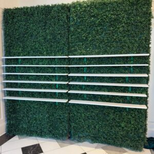 Green Hedge with Shelf